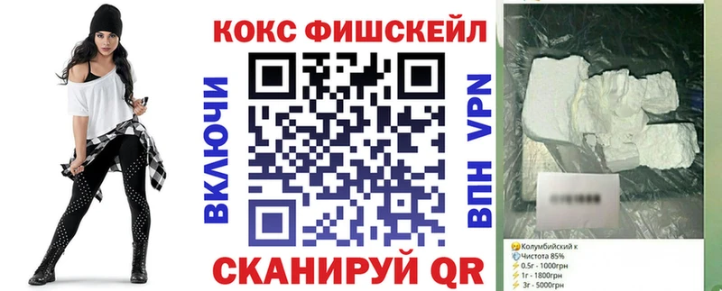 КОКАИН Fish Scale  где купить   Сланцы 